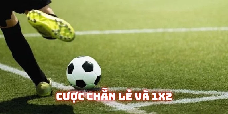 Hình thức cược chẵn/lẻ và 1X2 thú vị