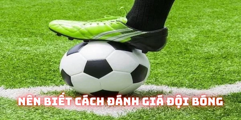 Hội viên nên đánh giá từng đội tham gia