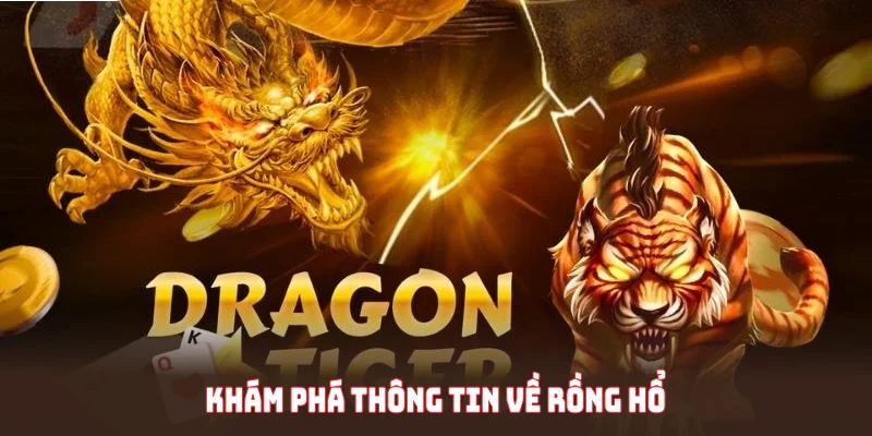 Khám phá thông tin về rồng hổ tại WW88