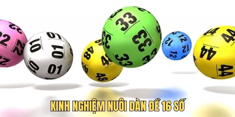 Hướng dẫn người chơi cách nuôi dàn đề 16 số hiệu quả