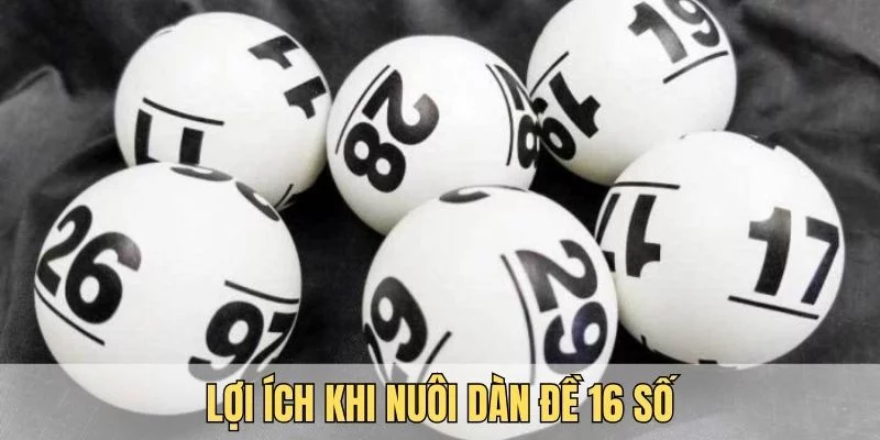 Dàn đề 16 số mang lại nhiều lợi ích hay ho